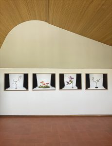 IMG_4766