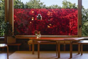 Maison Louis Carré – Exposition Nathalie Junod Ponsard