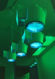IMG_1359 -vert-01 br
