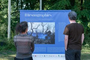 Les mesnographies 2023